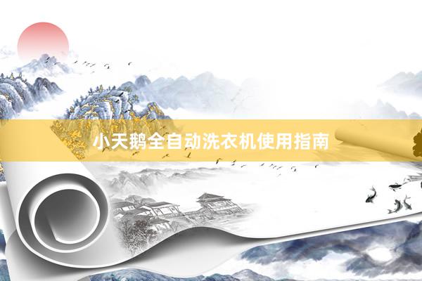 小天鹅全自动洗衣机使用指南