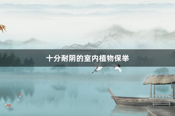 十分耐阴的室内植物保举