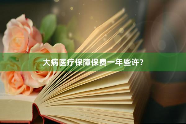 大病医疗保障保费一年些许？